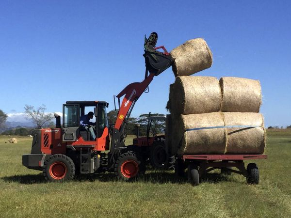 Palas Cargadoras Agrícola H150